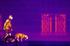 安鑫娱乐(中国游)官方网站