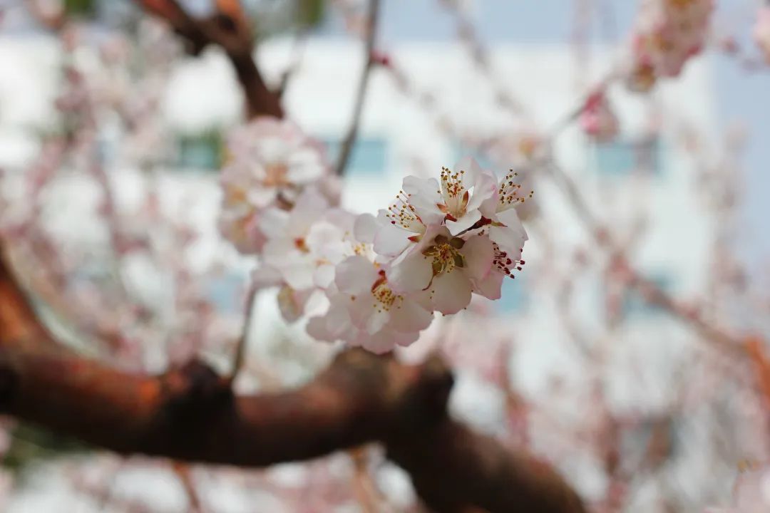安鑫娱乐(中国游)官方网站