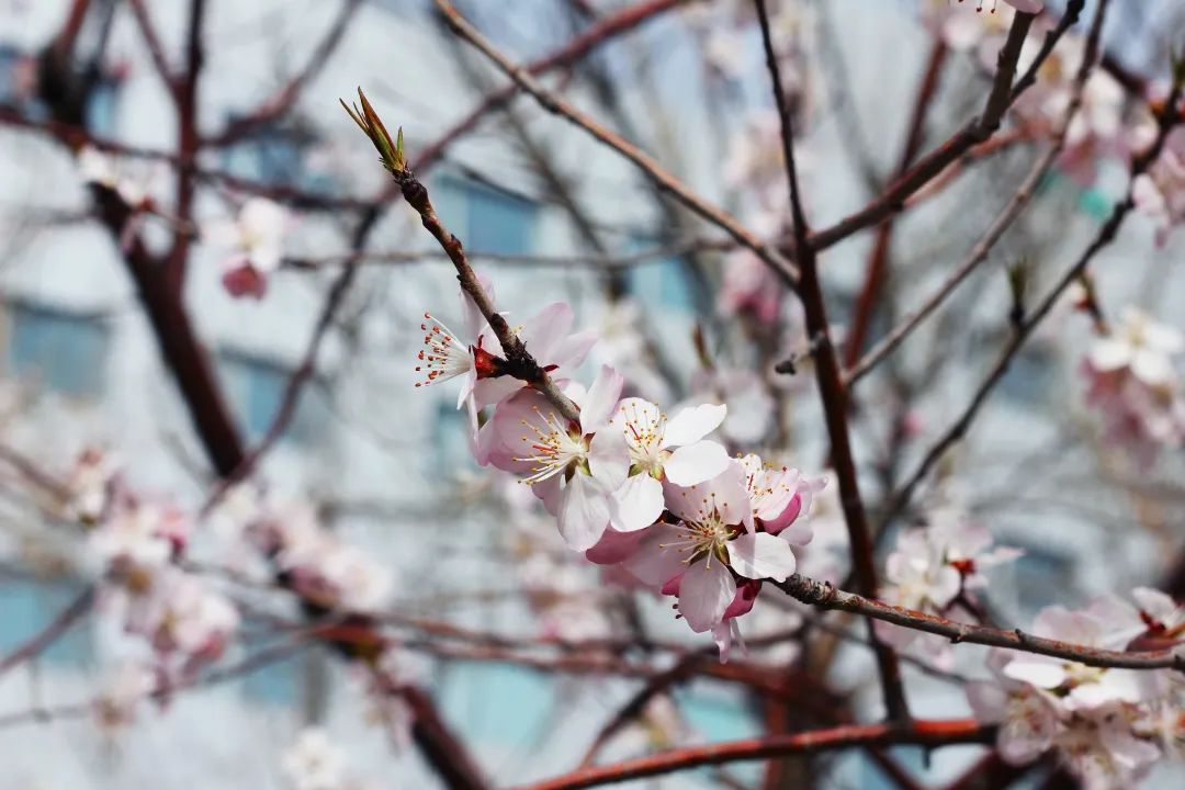 安鑫娱乐(中国游)官方网站