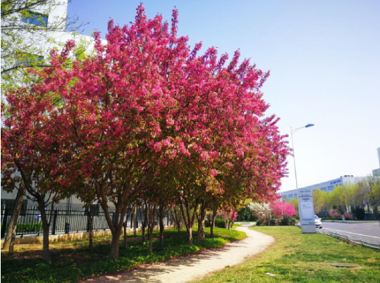 安鑫娱乐(中国游)官方网站